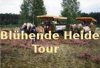 Blühende Heide Tour