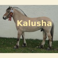 Kalusha
